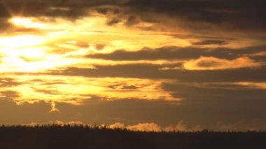 yaz günbatımı üzerinde orman