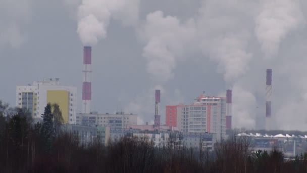 Vogels vliegen op de achtergrond van de fabriek — Stockvideo