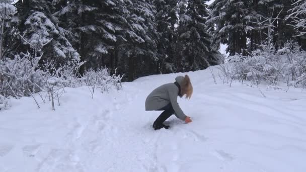 Menina faz e joga bola de neve — Vídeo de Stock