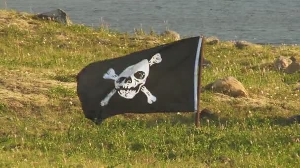 Пиратский флаг развевается на ветру — стоковое видео