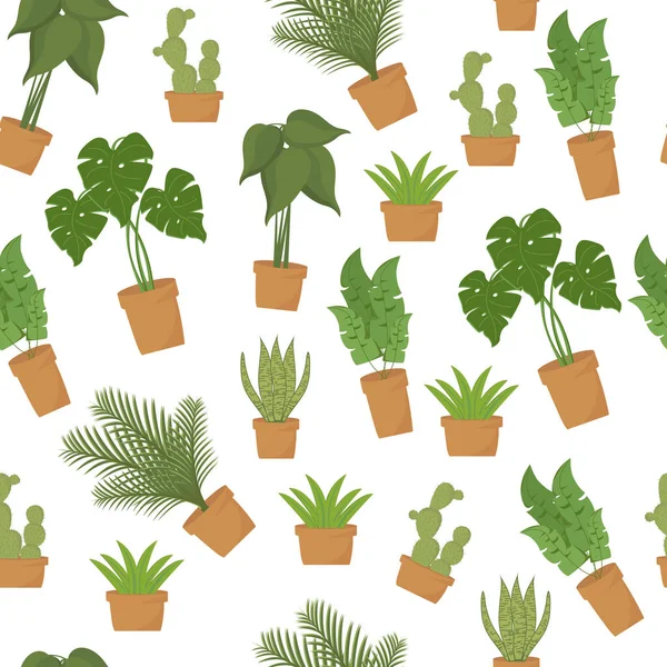 Plats Seamless Pattern Vector Botanical Illustration Home Plants Collection Potted — Stock Vector