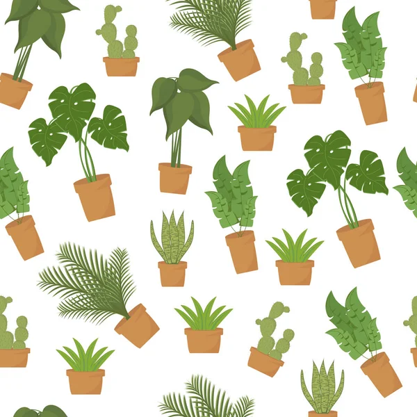 Platos Patrón Sin Costura Ilustración Botánica Vectorial Inicio Plantas Colección — Vector de stock