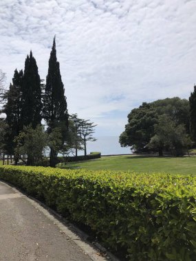 Parkta bahar, çimenler, yeşil ağaçlar