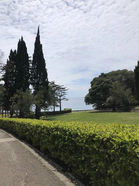 Parkta bahar, çimenler, yeşil ağaçlar