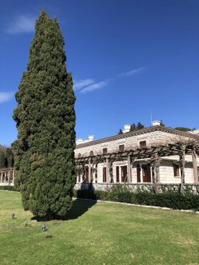 vila sütçüsü, park, crna gora, mongro, ilkbahar başı