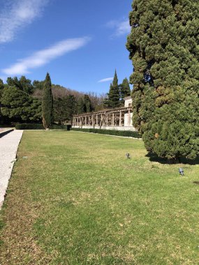 vila sütçüsü, park, crna gora, mongro, ilkbahar başı