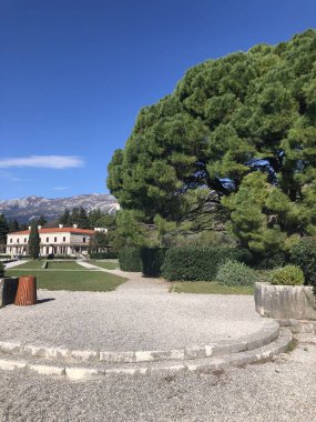 vila sütçüsü, park, crna gora, mongro, ilkbahar başı