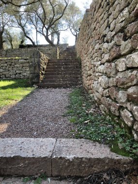 vila sütçüsü, park, crna gora, mongro, ilkbahar başı