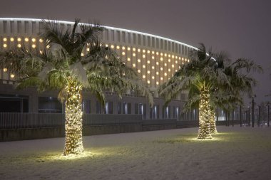 Akşamları stadyumun arka planında kar altında palmiye ağaçları.