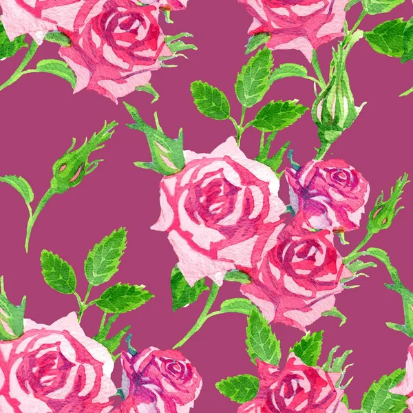 Patrón brillante sin costuras sobre un fondo carmesí oscuro de delicadas rosas rosadas acuarela. — Foto de Stock