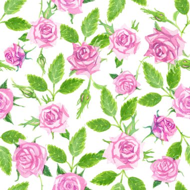 Narin pembe suluboya güller çerçevesi. Üst ve alt sınırlar. Manzaralı buket. Beyaz arka planda kusursuz pembe suluboya güller. Tomurcuklar ve dikenler. Manzara buketi.