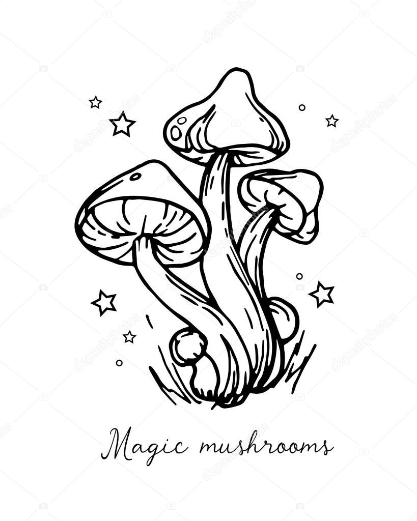 Witch mushrooms for Halloween. Graphic vintage doodle illustration with space magic mushrooms. Idea for a tattoo. National mushroom day. Illustration of autumn forest plants. Graphic vintage mushrooms with stars. Botanical illustrations.