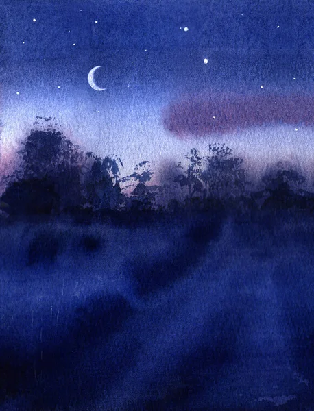 Schöne Landschaft Himmel Sterne Nacht Gras Straße Reisen Sommernächtlicher Schriftzug — Stockfoto