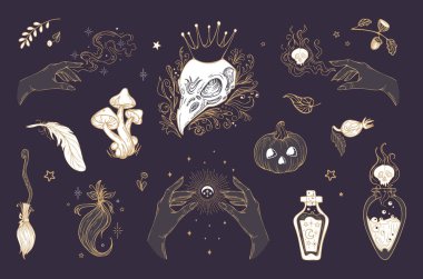Vector vintage set illustration magic items, for Halloween. Raven skull in crown, Pumpkin, mushrooms, witch potions, feather, witchcraft, astrology, mystic. For stickers, posters, design elements. clipart