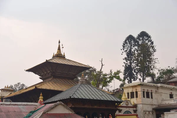 Templo Hindu Templo Pashupatinath Nepal — Fotografia de Stock