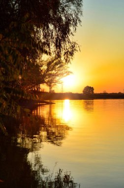 Turuncu gün batımı, ortada ağaç çizgisi ve güneş var.