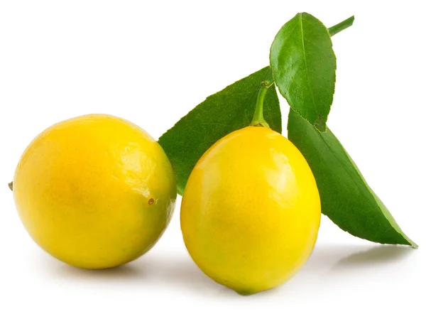 Zwei Zitronen mit Blatt — Stockfoto
