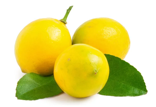 Три лимони на білому тлі ізольовані — стокове фото