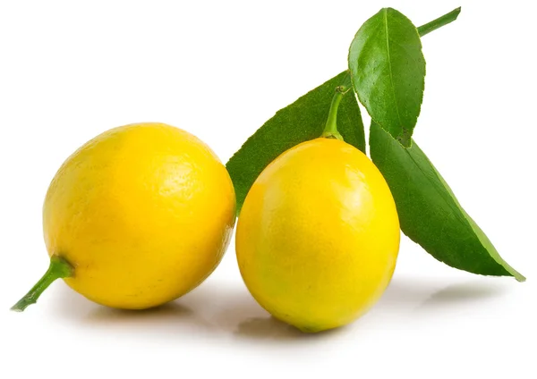 Fresh lemons with green leaves isolated on white background — Stock Photo, Image