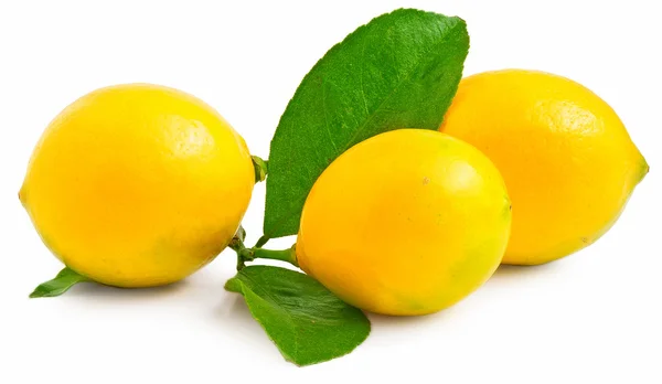 Tres limones sobre el fondo blanco aislados — Foto de Stock