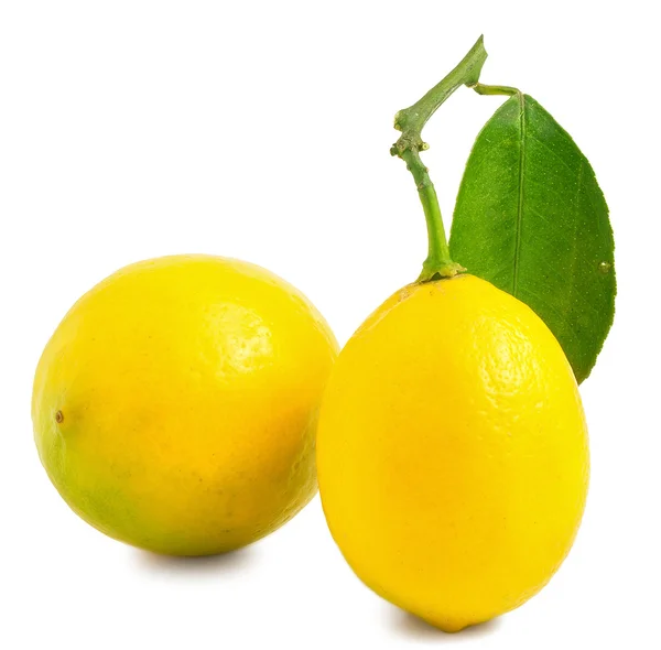 Dos limones con hoja — Foto de Stock