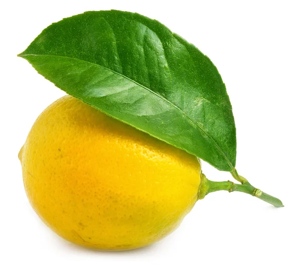 Citron med leaf isolerad på vit — Stockfoto