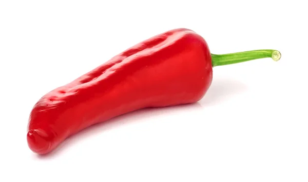 Red hot chili pepper on white background Stock Photo