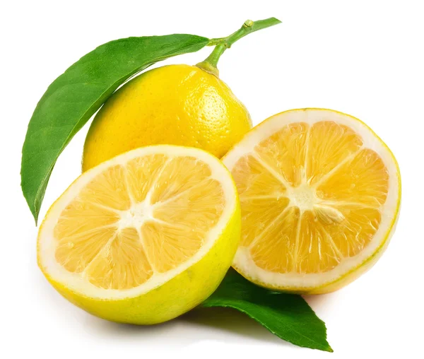 Limón fresco aislado en blanco —  Fotos de Stock