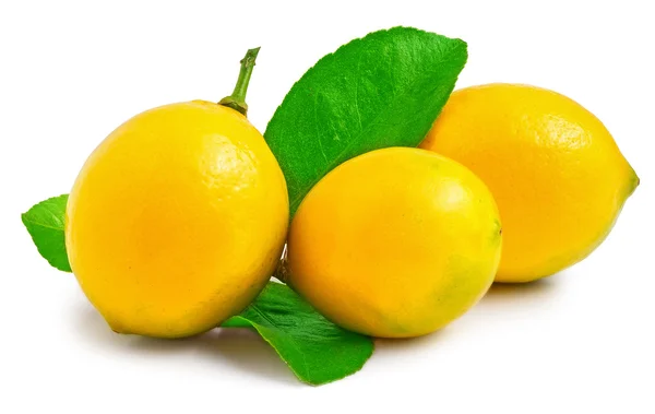 Three lemons on the white background isolated — Stock Photo, Image