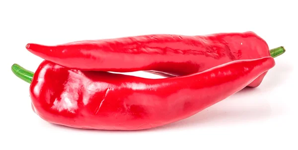 Piros forró chili bors fehér háttér — Stock Fotó