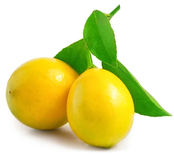 Frische Zitronen mit grünen Blättern isoliert auf weißem Hintergrund — Stockfoto