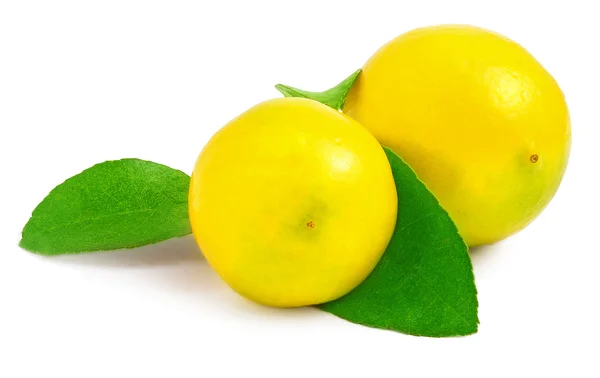 Свежие лимоны с зелеными листьями изолированы на белом фоне — стоковое фото