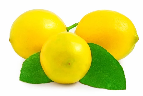 Három citrom elszigetelt fehér background — Stock Fotó