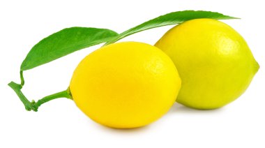 Beyaz arka planda iki limon