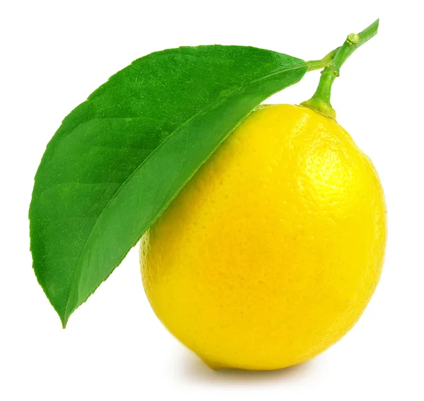 Limão com folha isolada em branco — Fotografia de Stock