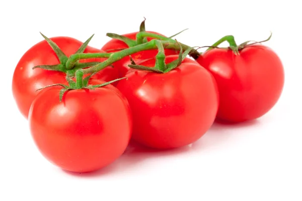 Ramo de tomates isolado em branco — Fotografia de Stock
