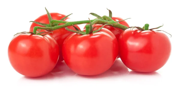 Branch of tomatoes isolated on white — Stock Photo, Image