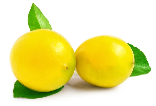 Lemons with leaves on a white background — Stock Photo, Image