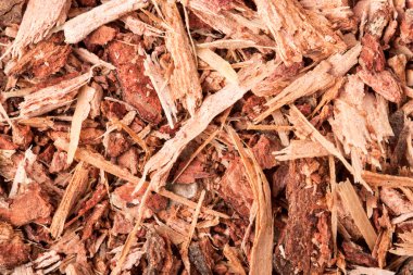 dried shredded oak bark as background close-up macro clipart