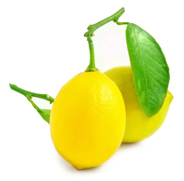 Dos limones sobre un fondo blanco — Foto de Stock