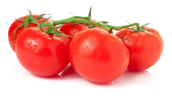 Branch of tomatoes isolated on white — Stock Photo, Image