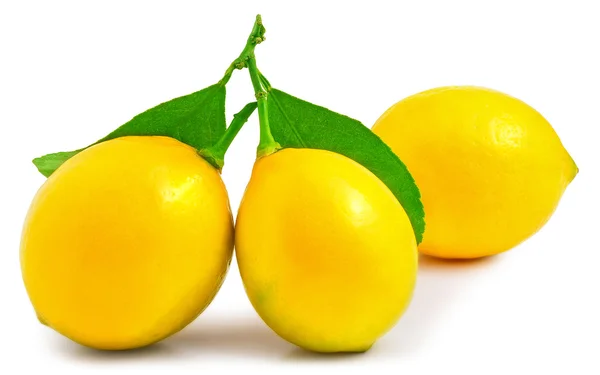 Tres limones sobre el fondo blanco aislados — Foto de Stock