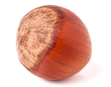 bir beyaz arka plan üzerinde yakın çekim makro izole kahverengi fındık