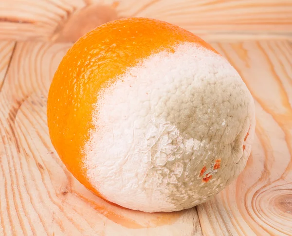 Один апельсин с плесенью на деревянном столе — стоковое фото