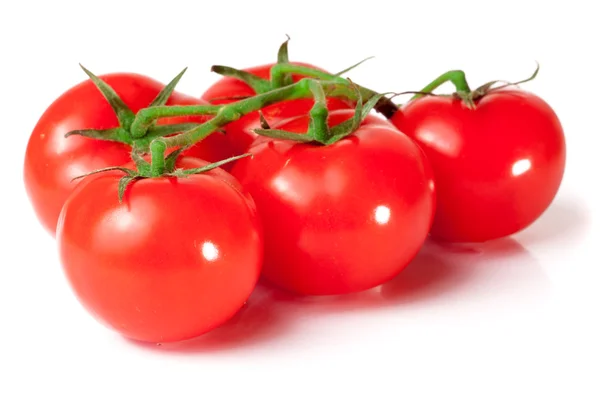 Branch of tomatoes isolated on white — Stock Photo, Image