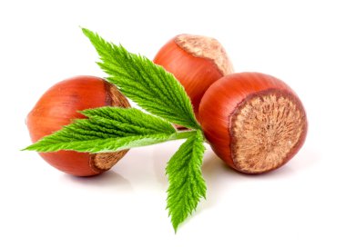 Beyaz arka plan yakın çekim izole yaprakları ile üç fındık