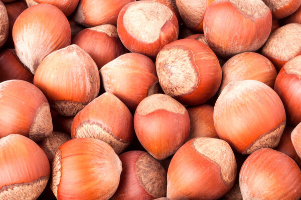 неочищенные фундуки в качестве фонового макроса крупным планом
