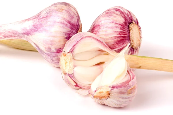 Tres cabeza de ajo fresco aislado sobre fondo blanco — Foto de Stock