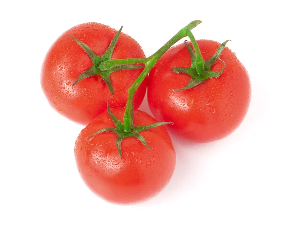 Ramo de três tomates isolados sobre fundo branco — Fotografia de Stock