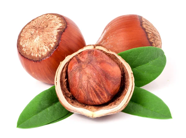 Three hazelnuts with leaves isolated on white background close-up — Stock Photo, Image